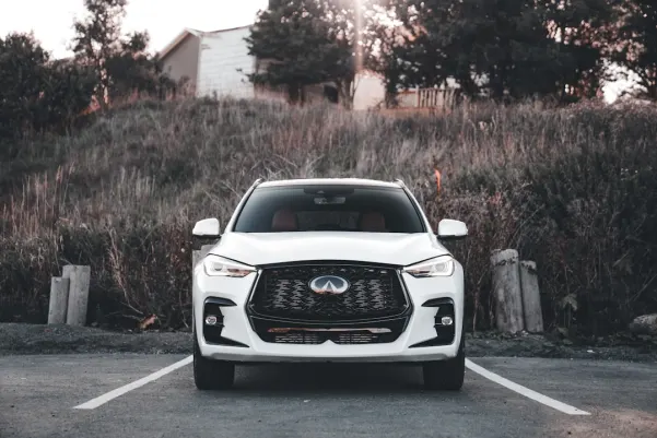 Kasino Royal Panda Apl Android/iOS